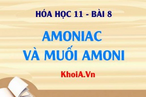Amoniac là gì? Tính chất vật lý và tính chất hóa học của Amoniac và Muối Amoni - Lý thuyết Hóa 11 bài 8